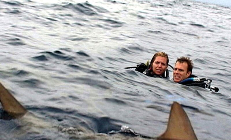 Ocean Strachu 2003 ciekawostki