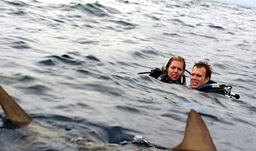 Ocean Strachu 2003 ciekawostki